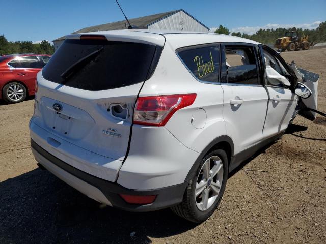 Photo 4 from auction – 2014 FORD ESCAPE SE with VIN 1FMCU0GX2EUD59608