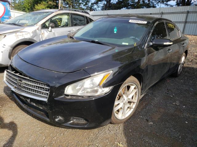 Photo 2 from auction – 2009 NISSAN MAXIMA S with VIN 1N4AA51E69C844232