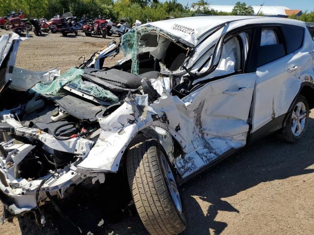 Photo 10 from auction – 2014 FORD ESCAPE SE with VIN 1FMCU0GX2EUD59608
