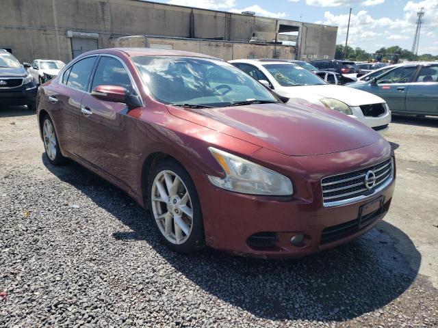 NISSAN MAXIMA S 2009 with VIN 1N4AA51E49C816834 - Photo from auction