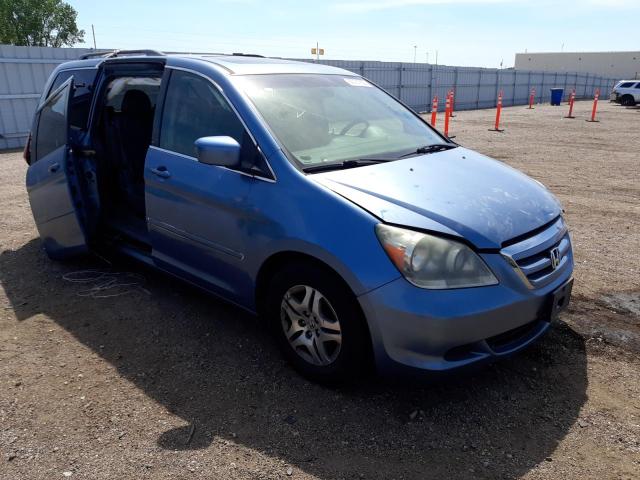 HONDA ODYSSEY EX 2005 with VIN 5FNRL38635B120487 - Photo from auction