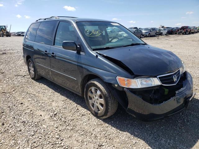 HONDA ODYSSEY EX 2003 with VIN 5FNRL18033B088489 - Photo from auction