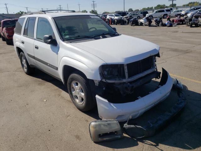 CHEVROLET TRAILBLAZE 2003 z numerem VIN 1GNDT13S032156860 - Zdjęcie z aukcji