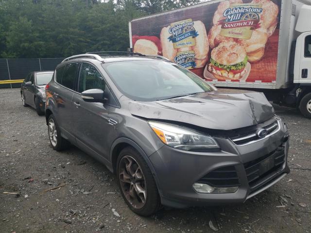 FORD ESCAPE TIT 2014 with VIN 1FMCU9J91EUD55273 - Photo from auction