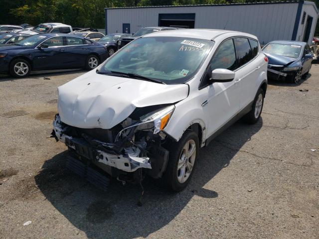 Photo 2 from auction – 2014 FORD ESCAPE SE with VIN 1FMCU0GX2EUA29533