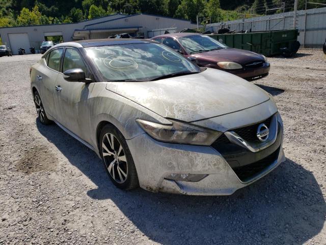 NISSAN MAXIMA 3.5 2016 with VIN 1N4AA6AP5GC384842 - Photo from auction