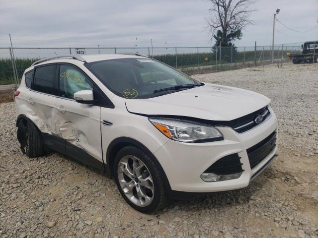 FORD ESCAPE TIT 2014 with VIN 1FMCU0J95EUB78089 - Photo from auction