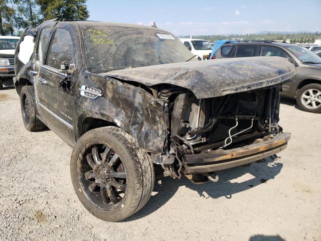 CADILLAC ESCALADE P 2011 with VIN 1GYS4CEF2BR376820 - Photo from auction