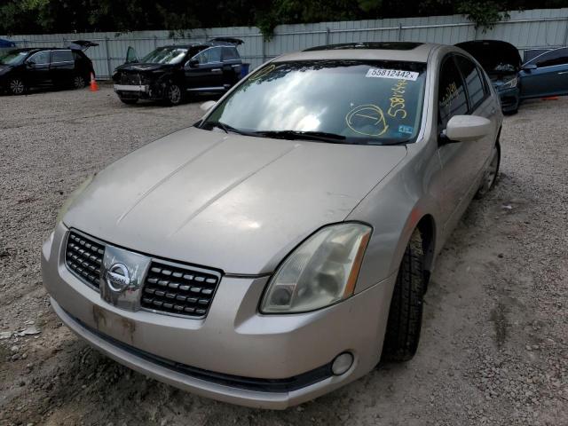 Photo 2 from auction – 2005 NISSAN MAXIMA SE with VIN 1N4BA41E35C869839