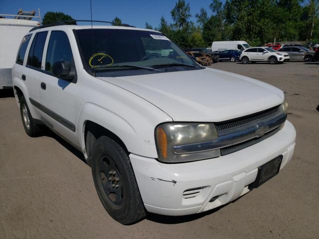 CHEVROLET TRAILBLAZE 2003 with VIN 1GNDT13S832237413 - Photo from auction