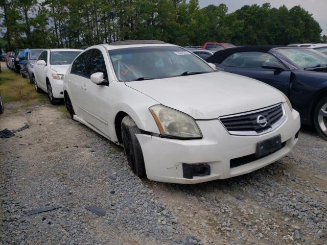 NISSAN MAXIMA SE 2008 with VIN 1N4BA41E58C835373 - Photo from auction