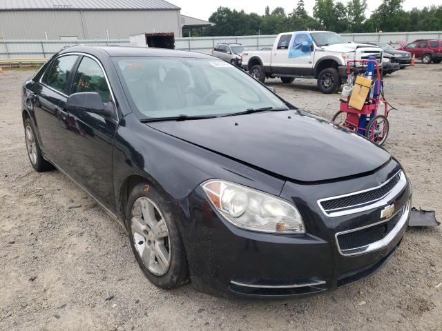 CHEVROLET MALIBU 2LT 2010 with VIN 1G1ZD5EB9AF141224 - Photo from auction