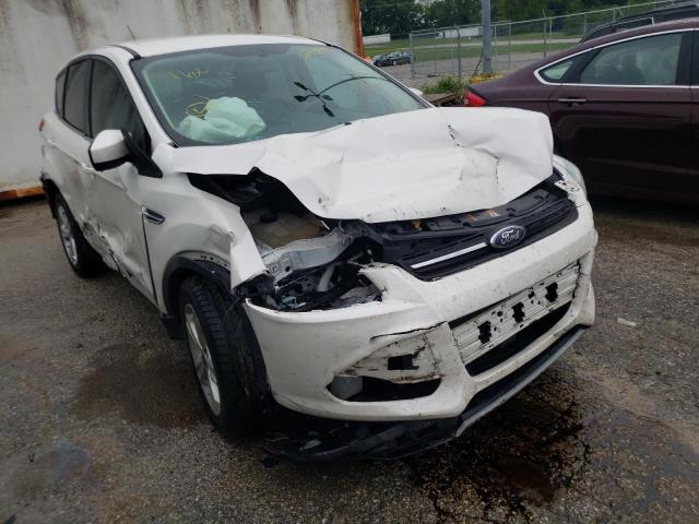 FORD ESCAPE SE 2013 with VIN 1FMCU9G99DUD53891 - Photo from auction