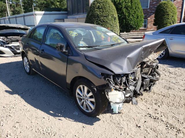 TOYOTA COROLLA BA 2009 with VIN JTDBL40E699049036 - Photo from auction