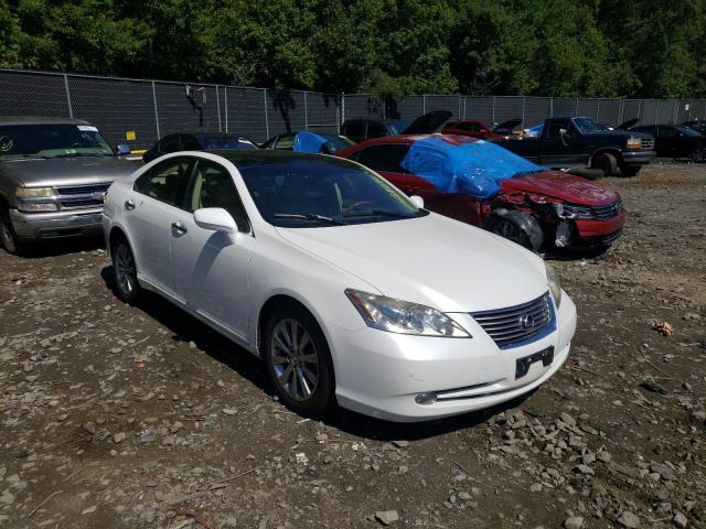 LEXUS ES 350 2008 with VIN JTHBJ46GX82193788 - Photo from auction