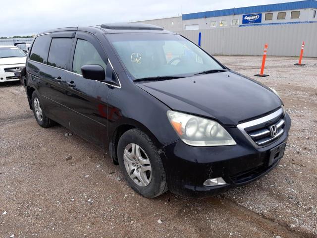 HONDA ODYSSEY EX 2006 with VIN 5FNRL38706B056466 - Photo from auction