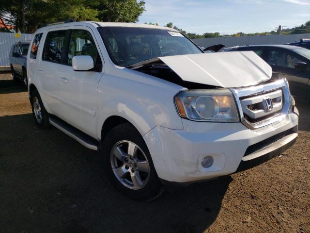 HONDA PILOT EXL 2011 with VIN 5FNYF4H59BB085952 - Photo from auction