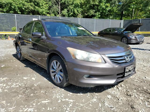 HONDA ACCORD EXL 2011 with VIN 1HGCP3F88BA014993 - Photo from auction