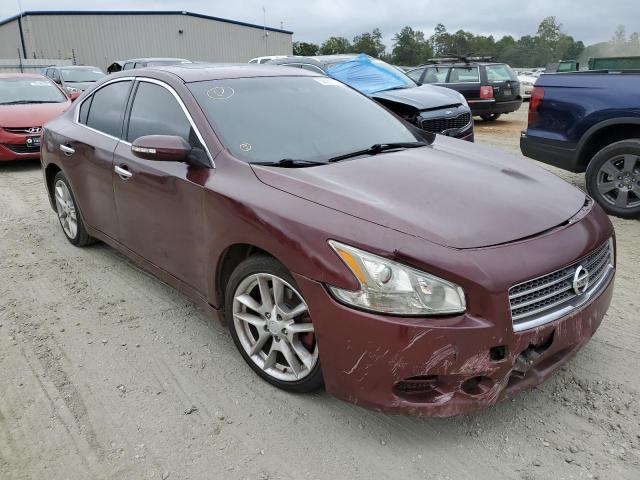 NISSAN MAXIMA S 2010 with VIN 1N4AA5AP4AC803135 - Photo from auction