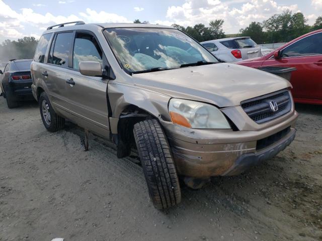 HONDA PILOT EXL 2005 with VIN 5FNYF185X5B039792 - Photo from auction