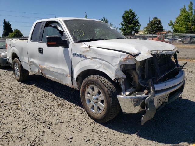 FORD F150 SUPER 2011 with VIN 1FTFX1EF1BFB04392 - Photo from auction