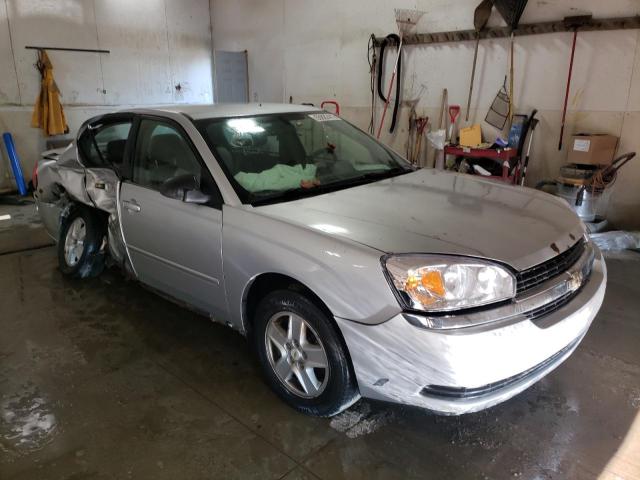 CHEVROLET MALIBU LS 2005 with VIN 1G1ZT52865F308575 - Photo from auction