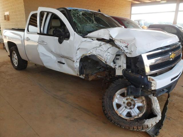 CHEVROLET SILVERADO 2009 with VIN 3GCEK33369G131319 - Photo from auction