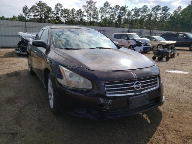 NISSAN MAXIMA S 2010 with VIN 1N4AA5AP3AC845182 - Photo from auction