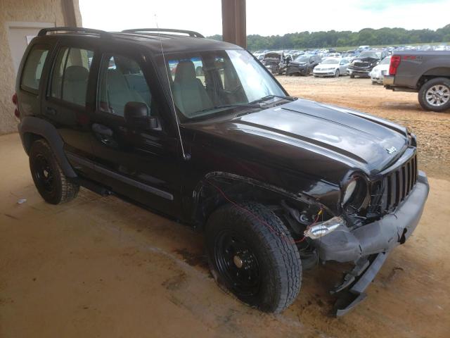 JEEP LIBERTY SP 2005 with VIN 1J4GL48K45W677098 - Photo from auction