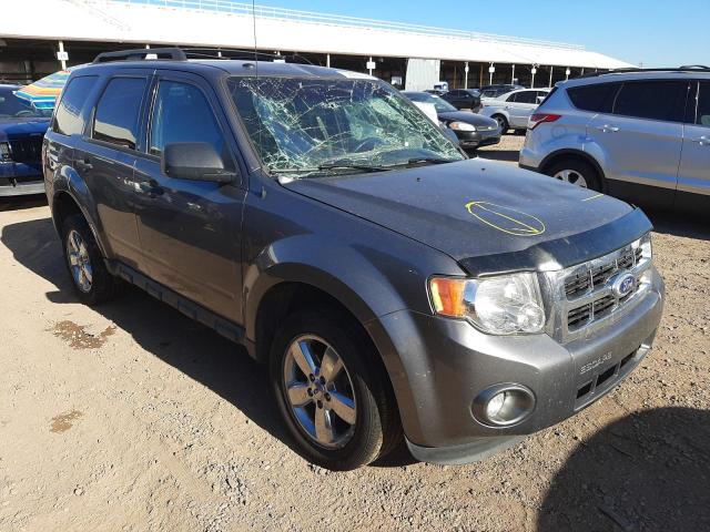 FORD ESCAPE XLT 2010 with VIN 1FMCU0D72AKD29695 - Photo from auction