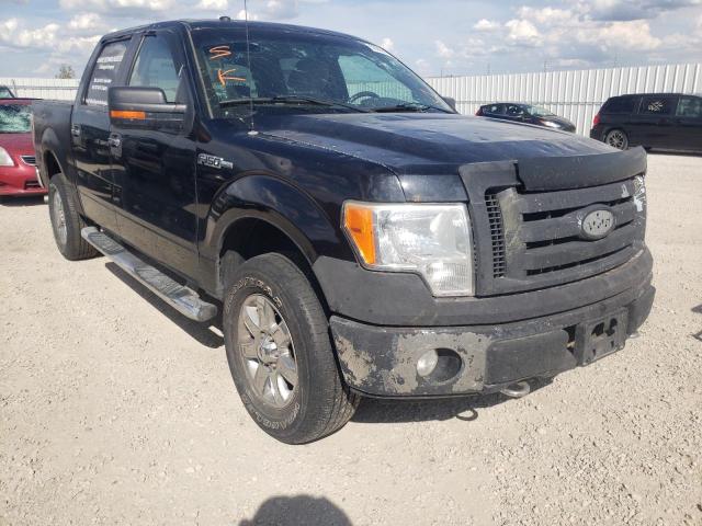 Photo 1 from auction – 2009 FORD F150 SUPER with VIN 1FTPW14V39FB23178