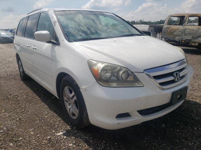 HONDA ODYSSEY EX 2005 with VIN 5FNRL38675B126552 - Photo from auction