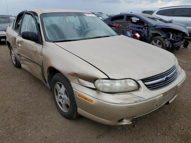 CHEVROLET MALIBU 2003 with VIN 1G1ND52J53M693604 - Photo from auction