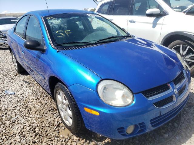 DODGE NEON SXT 2005 with VIN 1B3ES56C65D268065 - Photo from auction
