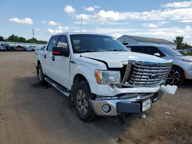 Photo 1 from auction – 2010 FORD F150 SUPER with VIN 1FTFW1EV8AFD31068