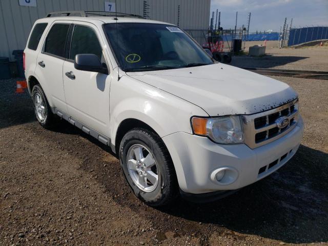 FORD ESCAPE XLT 2012 with VIN 1FMCU9D78CKA92542 - Photo from auction