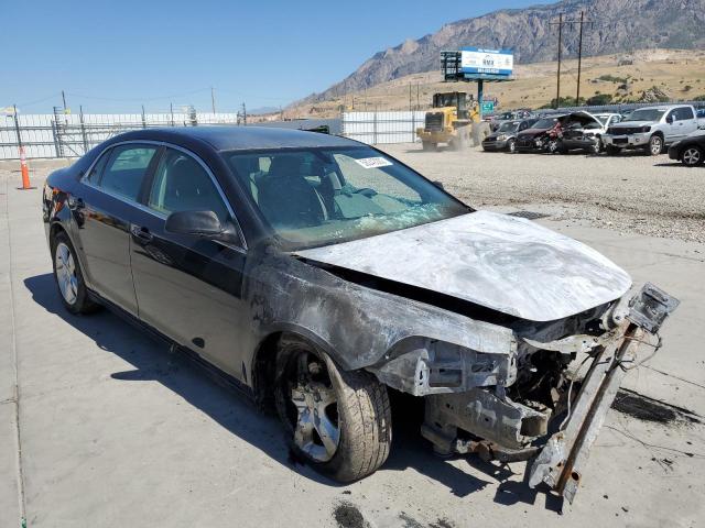 CHEVROLET MALIBU LS 2010 with VIN 1G1ZB5EB6AF170122 - Photo from auction