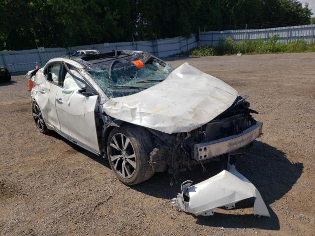 NISSAN MAXIMA 3.5 2016 with VIN 1N4AA6AP7GC375608 - Photo from auction