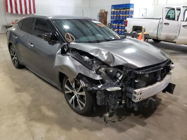 NISSAN MAXIMA 3.5 2016 with VIN 1N4AA6AP1GC425516 - Photo from auction