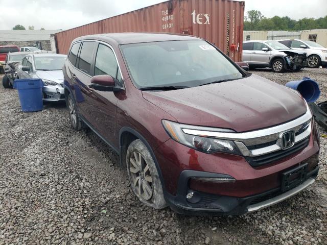 HONDA PILOT EX 2019 with VIN 5FNYF5H32KB033552 - Photo from auction