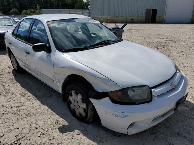 CHEVROLET CAVALIER 2003 with VIN 1G1JC52F337330424 - Photo from auction