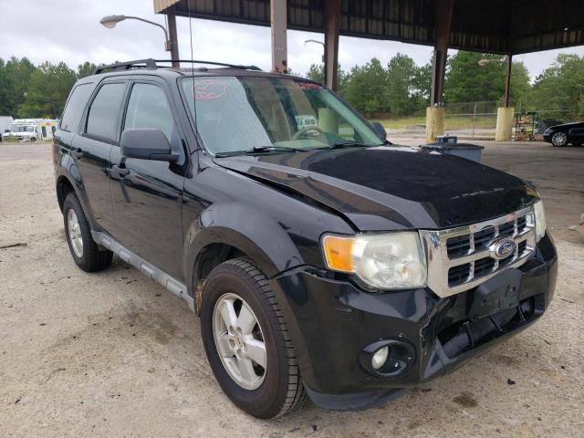 FORD ESCAPE XLT 2010 with VIN 1FMCU0DG6AKB92924 - Photo from auction