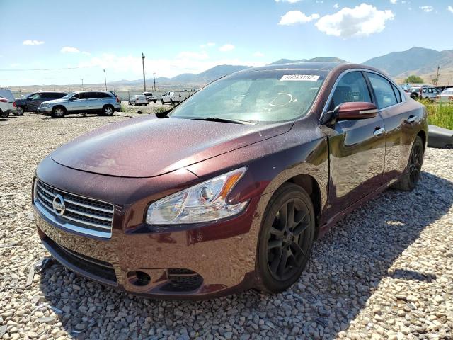 Photo 2 from auction – 2009 NISSAN MAXIMA S with VIN 1N4AA51E39C848142