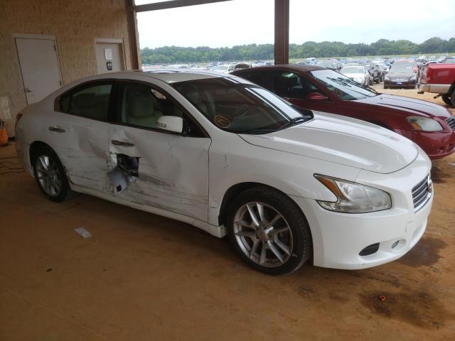 NISSAN MAXIMA S 2011 с VIN 1N4AA5AP6BC830466 - Фото с аукциона
