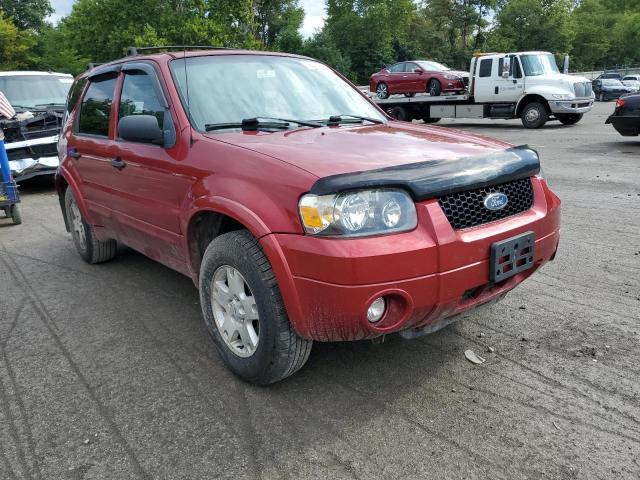FORD ESCAPE XLT 2007 with VIN 1FMCU93117KB35878 - Photo from auction