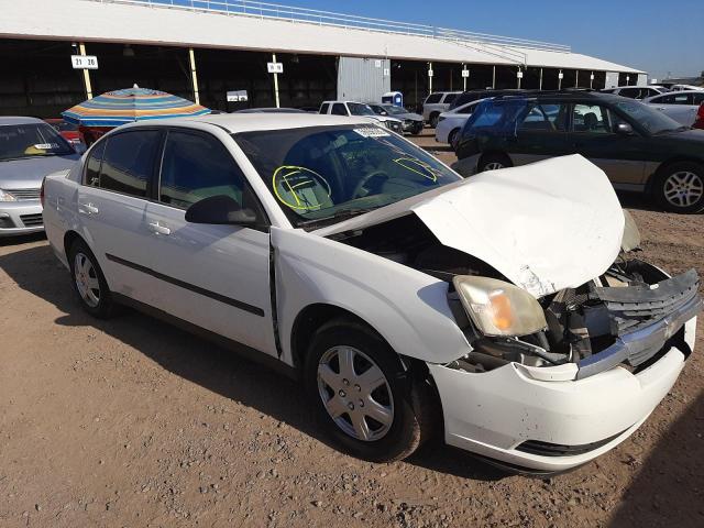 Photo 1 from auction – 2004 CHEVROLET MALIBU with VIN 1G1ZS52F34F231101