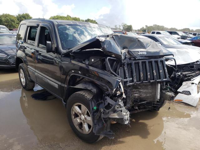 JEEP LIBERTY SP 2010 with VIN 1J4PP2GK8AW164697 - Photo from auction