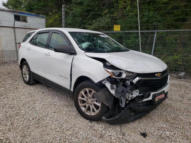 CHEVROLET EQUINOX LS 2019 with VIN 2GNAXHEV0K6264467 - Photo from auction