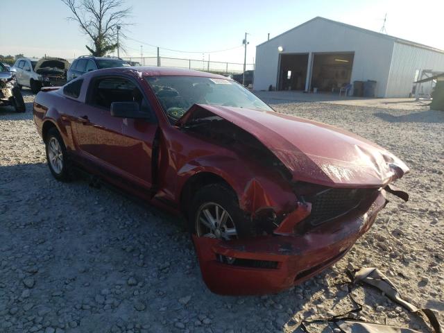 Photo 1 from auction – 2008 FORD MUSTANG with VIN 1ZVHT80N285117207