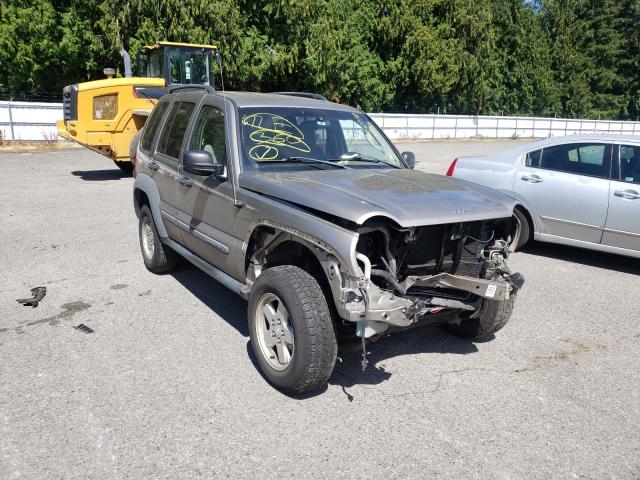JEEP LIBERTY SP 2005 with VIN 1J4GL48K55W694007 - Photo from auction